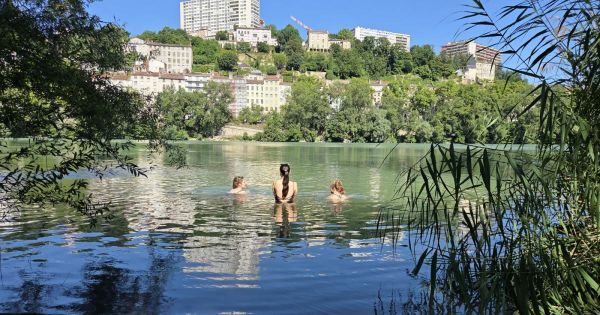 Lyon. « Avec la chaleur, on n'a pas résisté » : malgré le danger, les baignades interdites dans le Rhône continuent