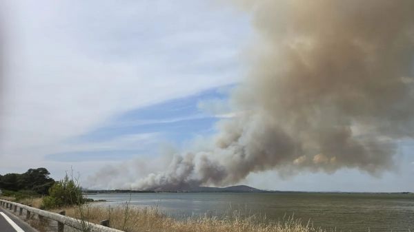 Incendie dans l'Hérault : le feu est maîtrisé, plus de 400 hectares parcourus par les flammes