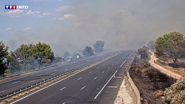 Incendie dans l'Hérault : le feu "maîtrisé" après avoir parcouru 400 hectares | TF1 INFO