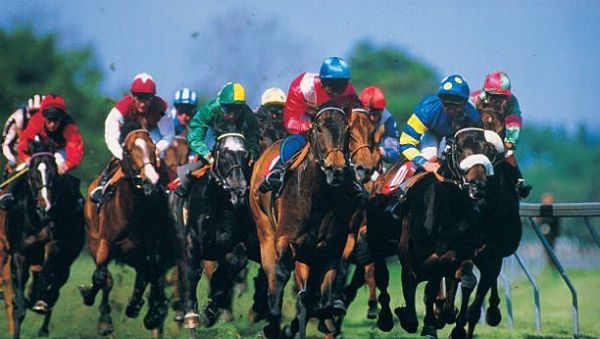 dimanche 6 juillet Quinté à Deauville à 15h15  Sélection Hervé Fortin