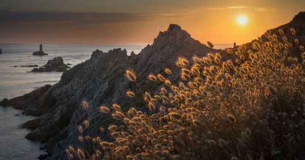 Surnommées la "Petite Irlande", ces landes bretonnes sont une destination à découvrir à tout prix pour se ressourcer