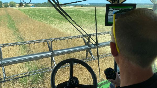 REPORTAGE. "On a facilement trois semaines d'avance" : les récoltes de céréales et de colza ont débuté très précocement en raison de la chaleur