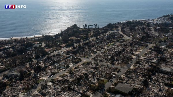 Los Angeles veut mettre fin au "tourisme de catastrophe", 6 mois après les incendies à Pacific Palisades | TF1 INFO