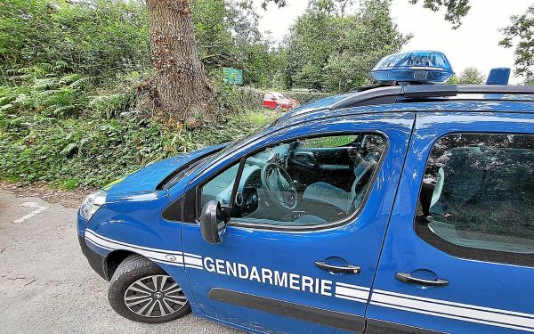 Cannabis, ecstasy, cocaïne... 68 personnes verbalisées pour détention de stupéfiants en marge d'Astropolis, à Brest