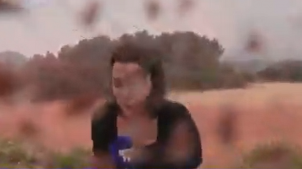 Moment gênant: Une journaliste douchée et réprimandée en direct près d'un incendie