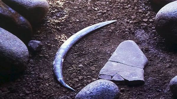 Un boomerang préhistorique unique et un doigt humain évoquent de mystérieux rituels