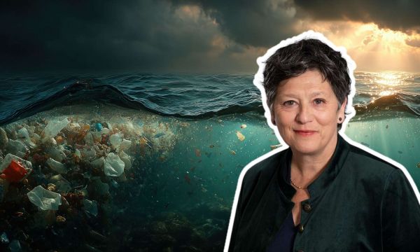 L'IRD appelle à « écouter la science » avant qu'il ne soit trop tard pour l'océan