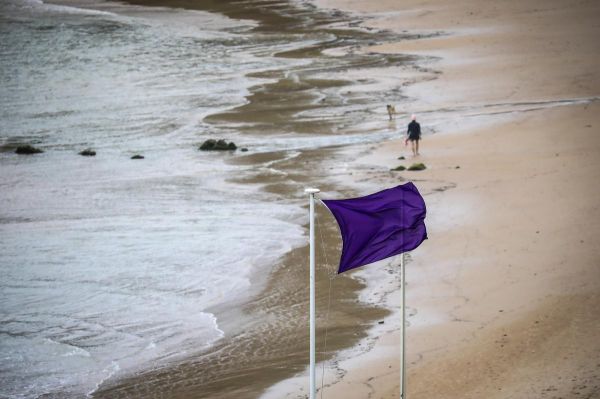 « Les fake news ont la vie dure » : l'Agglomération Pays basque veut rassurer sur la qualité des eaux de baignade