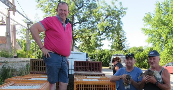 Soing. 465 canetons lâchés au fil de la Saône par les associations de chasse
