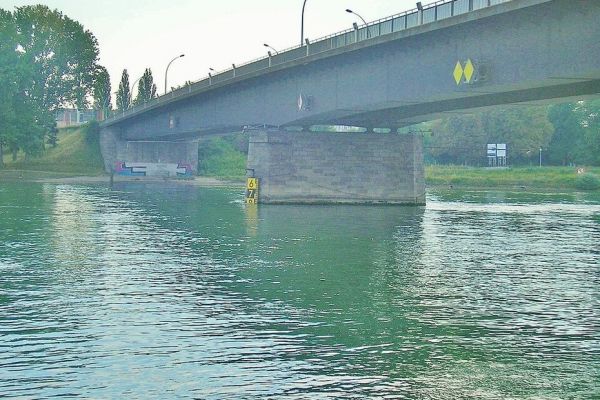 Un homme meurt noyé après s'être jeté d'une passerelle dans le Rhin