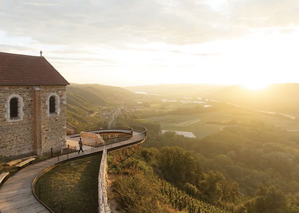Escapades dans les vignobles de côte-rôtie et condrieu : des grappes d'or et de grenat