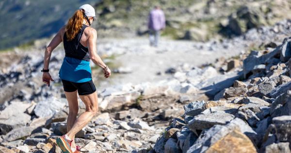 Montagne. Randonnée : impréparation, équipement inadapté, l'activité secours en augmentation de 6 % en 2024