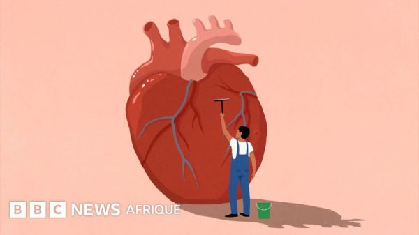 Comment garder votre cœur en bonne santé