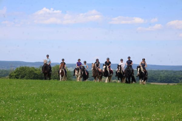 En randonnée à cheval à Besançon, entre histoire et nature