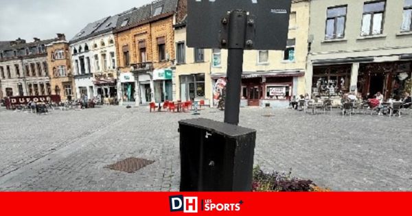 Le Conseil du bien-être animal au coeur des débats à Péruwelz : "Pour beaucoup de gens, leur animal, c'est leur enfant"