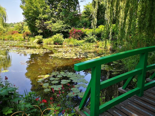 Quel est le point commun entre le peintre Monet et cette pépinière du Lot-et-Garonne ?