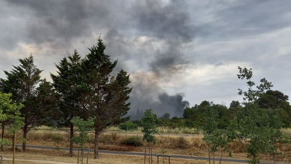 Incendie dans la Gardiole : une reprise du feu a été maîtrisée à Mireval