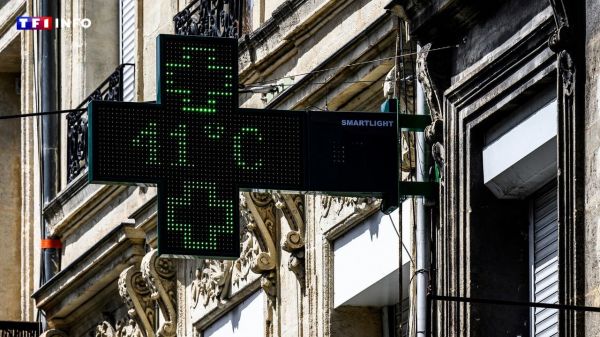 Crise climatique et complotisme : "Beaucoup n'acceptent pas l'idée que le malheur qui arrive soit imputable à nos modes de vie", estime François Gemenne | TF1 INFO