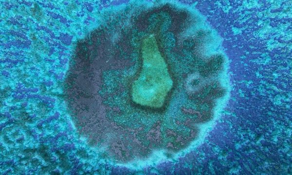 Microbe miroir, « une menace pour la vie telle que nous la connaissons »