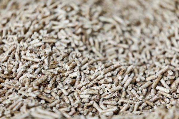 La construction d'une usine de pellets crée la discorde : à quelques jours de la vente du terrain, "c'est complètement délirant"