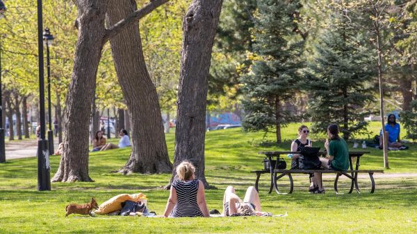 Conditions extrêmes dans le sud de la province: humidex de 40 et veille d'orages violents
