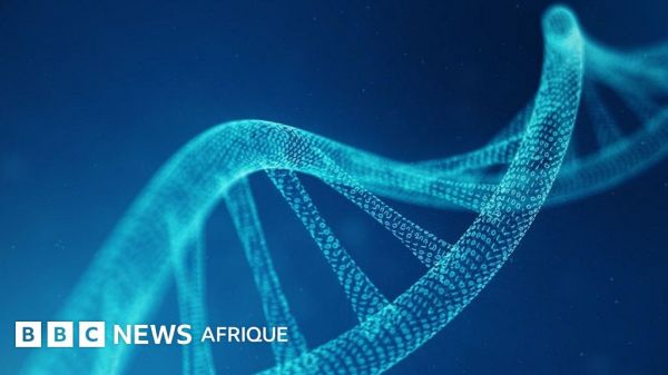 Lancement d'un projet controversé de création d'ADN humain artificiel