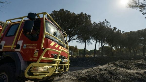 Incendies : on vous explique pourquoi les voyants sont au rouge sur le front des feux de forêt en ce début d'été