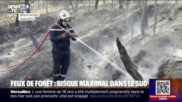 Feux de forêt: risque maximal dans le sud de la France