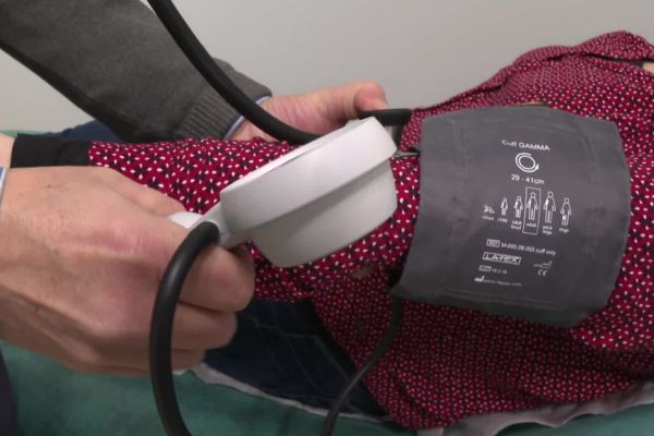 Loin des grandes villes universitaires, ils ont commencé leurs études de médecine et ont tous réussi leurs examens