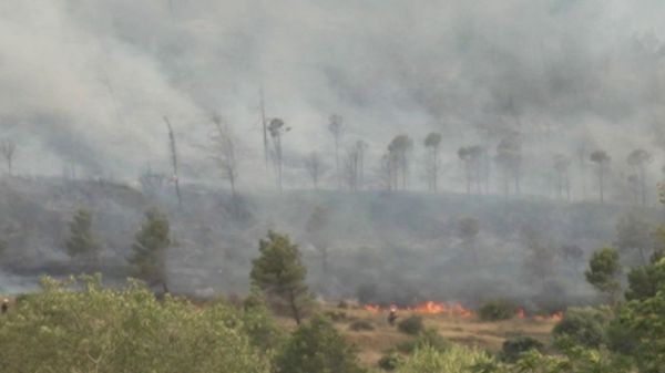 Incendies dans l’Aude : le feu a été fixé après avoir ravagé 500 hectares