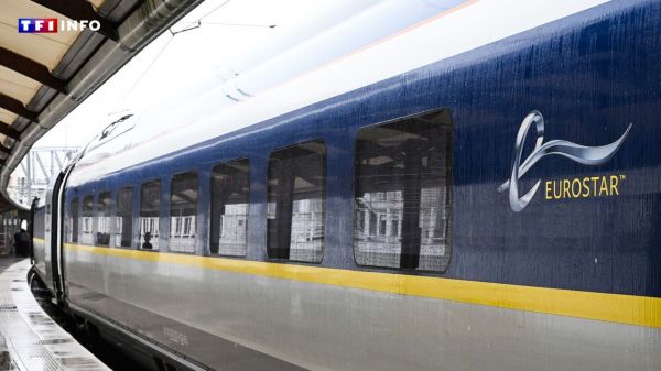 Un Eurostar bloqué 9 heures, les passagers privés de toilettes et climatisation | TF1 INFO