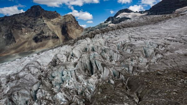 En Suisse, comment un chihuahua a sauvé la vie d'un homme tombé dans une crevasse