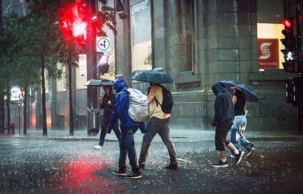 Plus de 12 000 foyers privés de courant après le passage d'orages violents