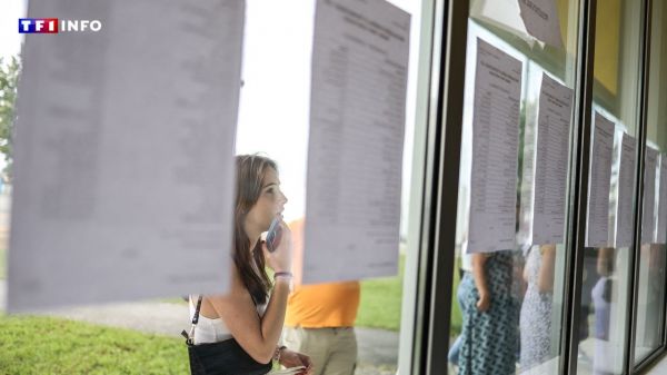 EN DIRECT - Brevet 2025 : découvrez les résultats par académie et par candidat | TF1 INFO