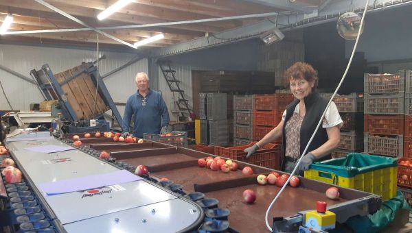 Raphaël calibre des pommes à Gilly sur Isère