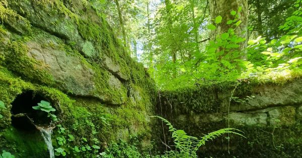 Photos. Remiremont : découvrez à quoi ressemble le parcours réhabilité qui mène à la source du Fouchot
