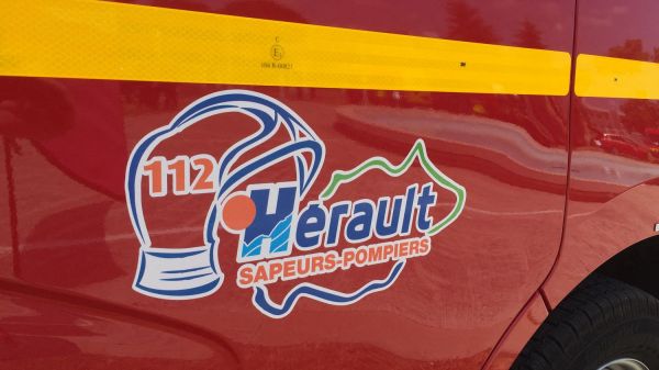 REPORTAGE. "On ne peut pas se démultiplier" : entre incendies, noyades et déshydratations, les pompiers submergés par les sollicitations de la période estivale