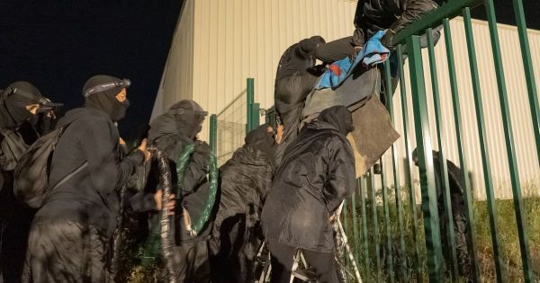 «Entre les couteaux et les animaux» : des activistes bloquent six abattoirs en France et aux Pays-Bas, une première