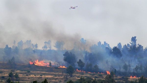 L'Aude, les Bouches-du-Rhône et le Var en vigilance rouge face au risque de feu de forêt