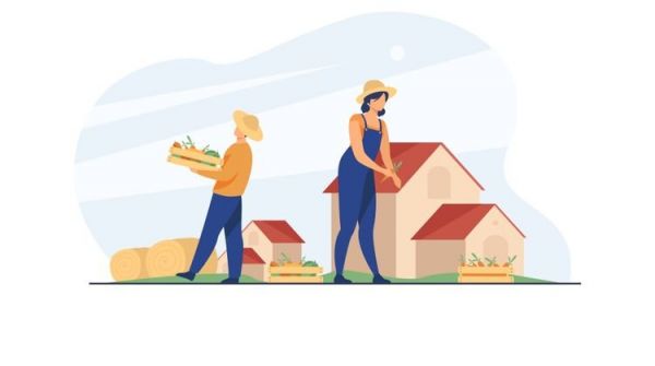 Le ministère en charge de l'agriculture lance une consultation citoyenne sur la place des femmes en agriculture