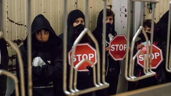 Cause animale : des activistes bloquent simultanément six abattoirs en France et aux Pays-Bas