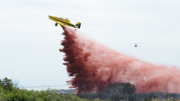 Alerte feux de forêt : trois départements du sud de la France en rouge, pourquoi l'Hérault n'est pas en vigilance maximale ?