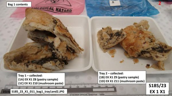 Un bœuf Wellington empoisonné... aux champignons : le récit d'un triple meurtre qui fascine l'Australie