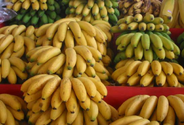 La banane : Une filière en plein essor vers 2029, selon un post du Ministre de l'Agriculture   Dr Mabouba Diagne