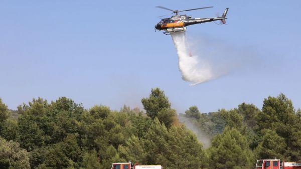 Feux de forêt : "On a clairement des éléments très défavorables", s'inquiète le président de la Fédération nationale des Sapeurs-pompiers