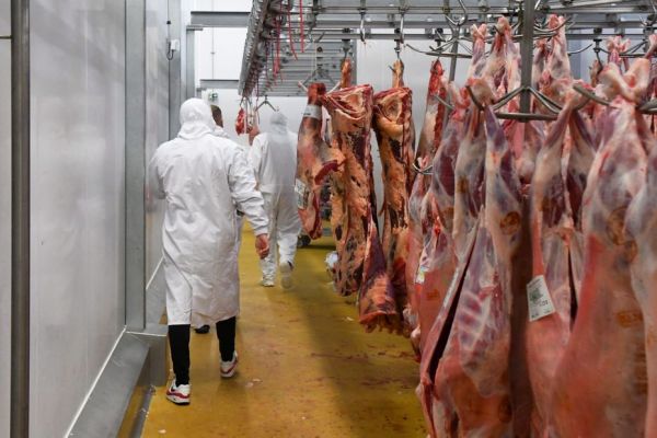 Cause animale. Blocage de six abattoirs en France et aux Pays-Bas, des activistes interpellés dont certains en Ille-et-Vilaine