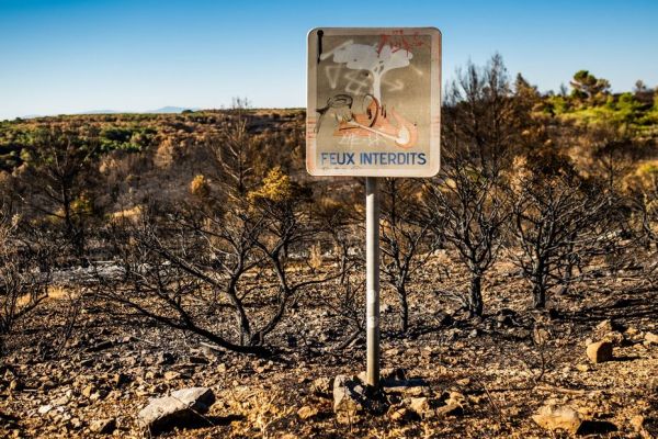 Alerte feux de forêt : "on a des éléments défavorables", l'Aude en vigilance rouge et 9 secteurs de l'Hérault, des Pyrénées-Orientales et du Gard en risque très élevé