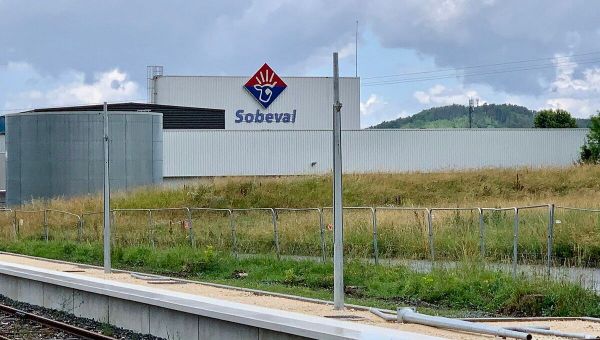 Des activistes de la cause animale arrêtés après avoir bloqué plusieurs abattoirs en France et aux Pays-Bas