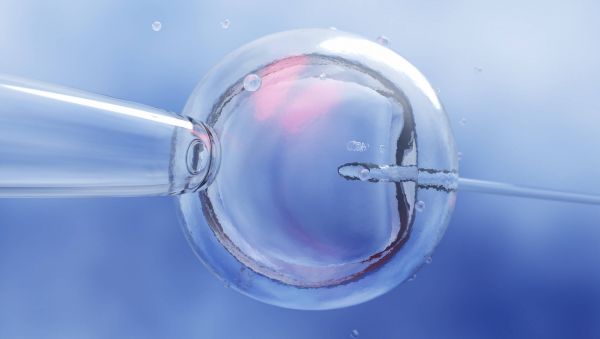 40 ans de progrès et des enjeux éthiques: le pionnier de la PMA alerte sur les dérives de la médecine reproductive
