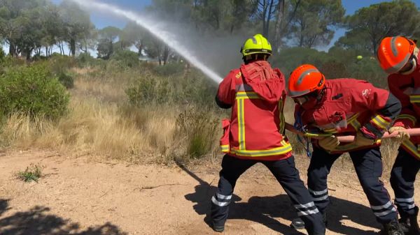 Un incendie se déclare à Fréjus à proximité de campings, plusieurs milliers de mètres carrés parcourus